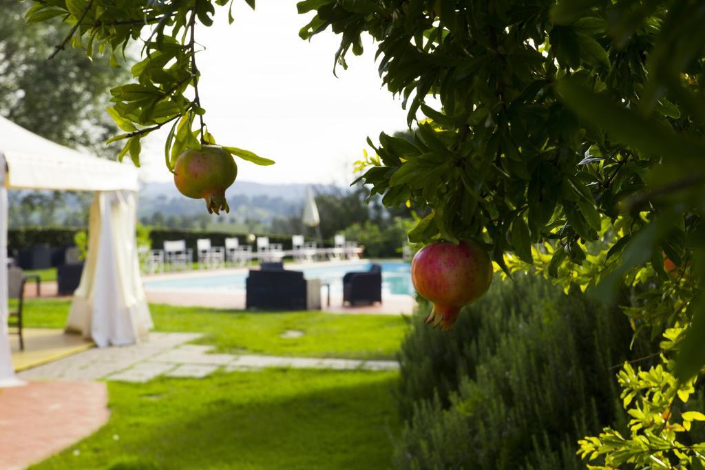 Agriturismo Marrucola San Miniato Exterior foto